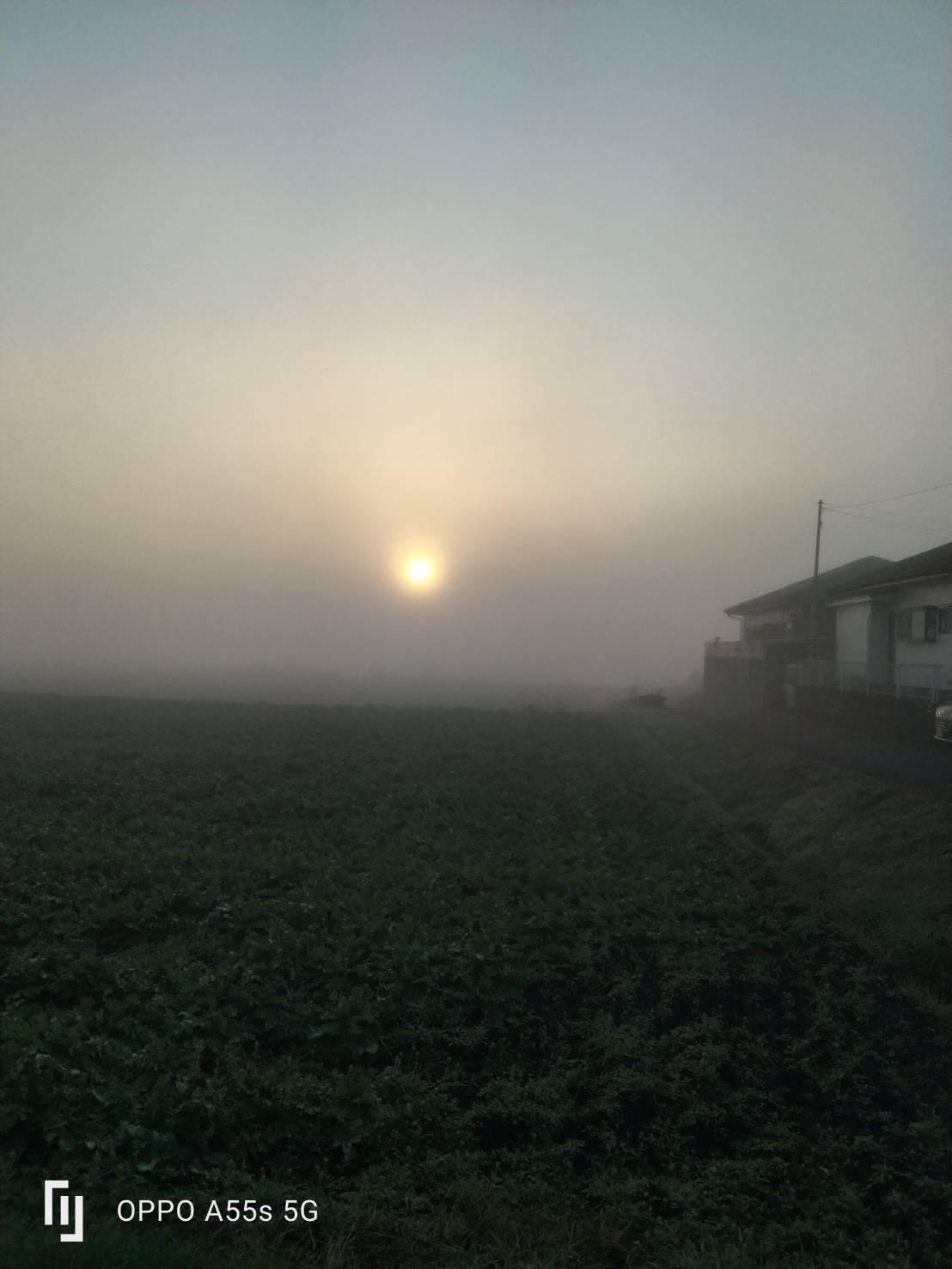 朝は前がみづらい位の霧でした