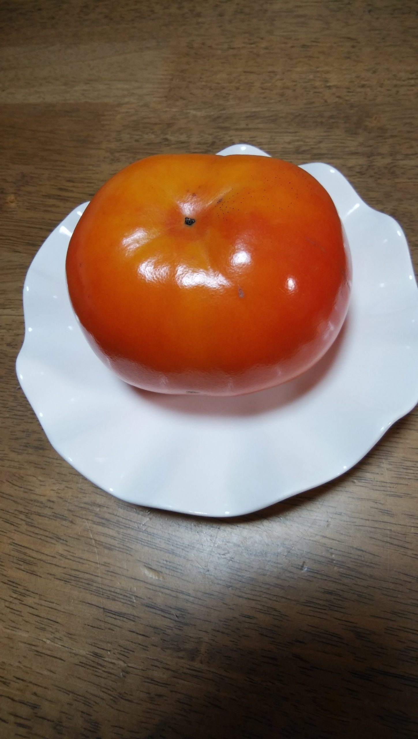とっても大きな柿を頂きました。