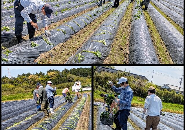 　～委託のお仕事～