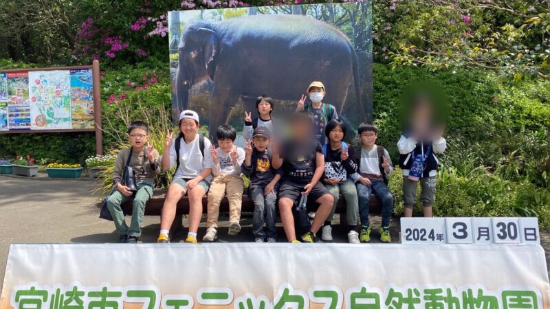 みんなで動物園🐱🐯🦁🦒🐰