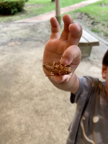 皇子原公園♪