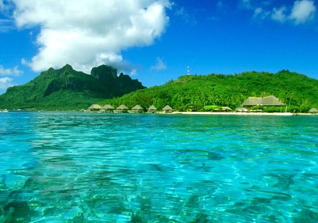 えがおの里延岡からのお知らせ