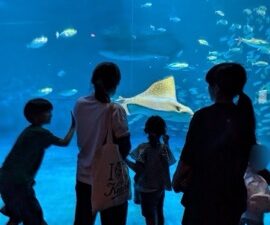 水族館へレッツゴー❣