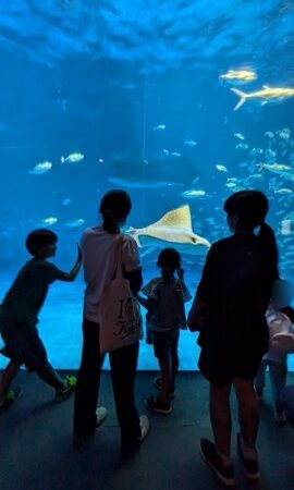 水族館へレッツゴー❣