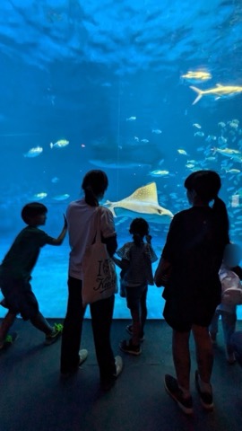 水族館へレッツゴー❣