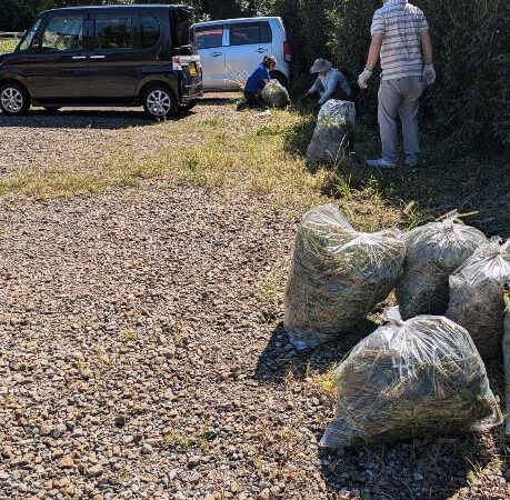 美化活動🧹🧹🍃