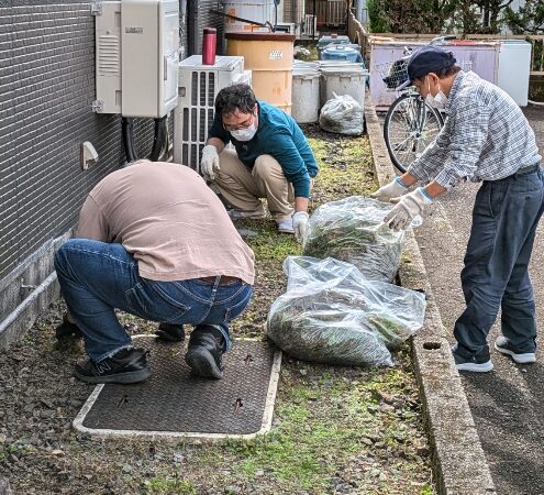🦎🍀美化活動🍀🐝