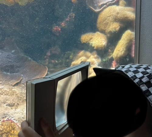 鹿児島水族館🎶