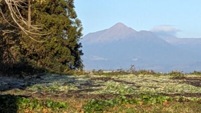 グループホームから見える、朝の風景