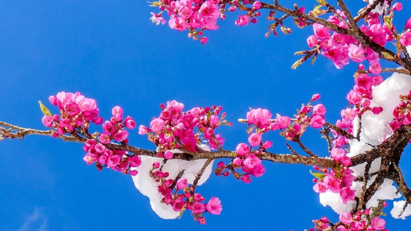 キッチンのお掃除🧹