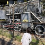 🚂リトミックとおでかけ〜SLとどんぐりの発見！