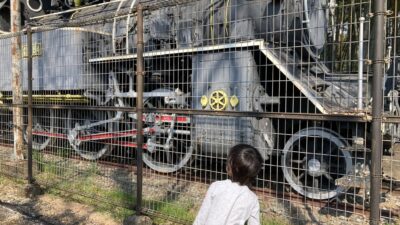 🚂リトミックとおでかけ〜SLとどんぐりの発見！