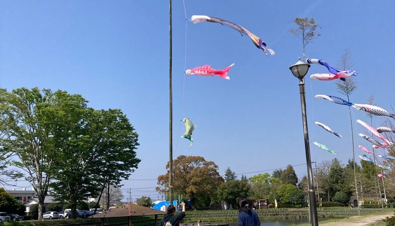 早水公園で色さがし＆シャボン玉あそび🫧