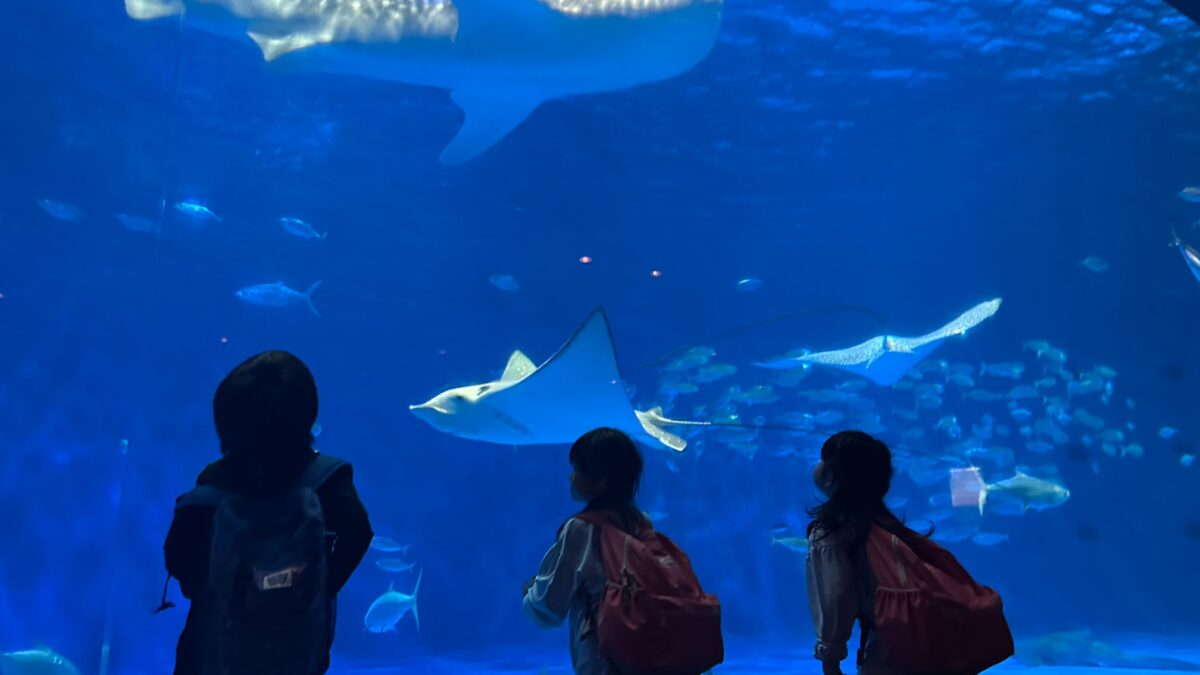 かごしま水族館＆高之峯公園へおでかけ🚗✨