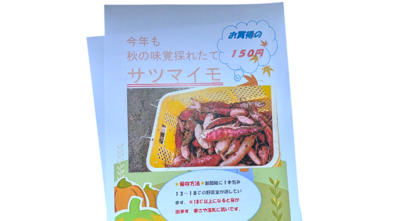 (○´･д･)ﾉ【✨今年も秋の味覚がやってきました🍠】