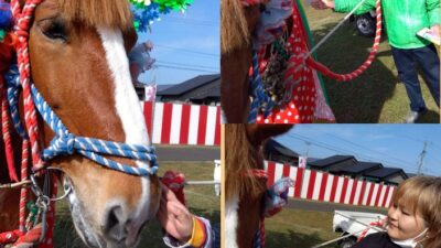 11月8日　余暇活動🐴