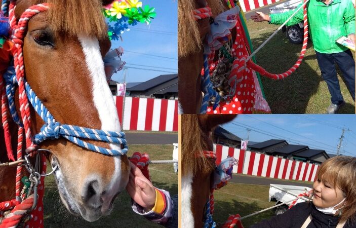 11月8日　余暇活動🐴