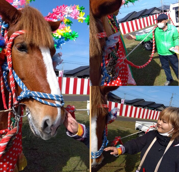 11月8日　余暇活動🐴