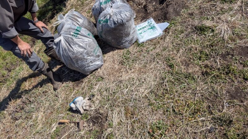 o(><；)o委託作業