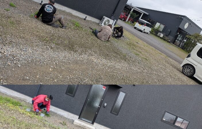 美化活動🍃🧹