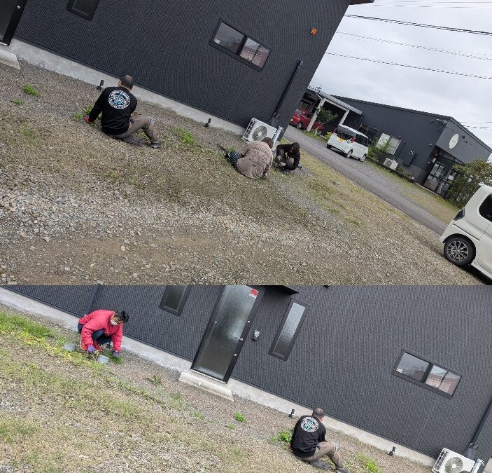 美化活動🍃🧹