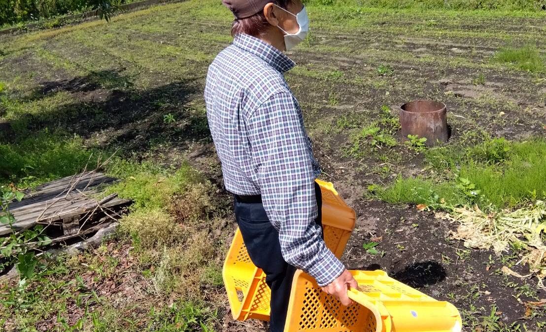 畑作業🌻