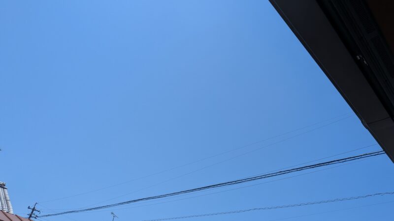 大根
