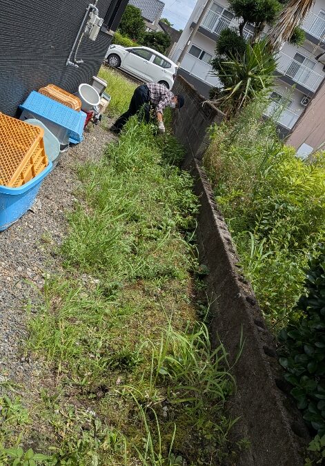 🌼🌳美化活動🍀🌻